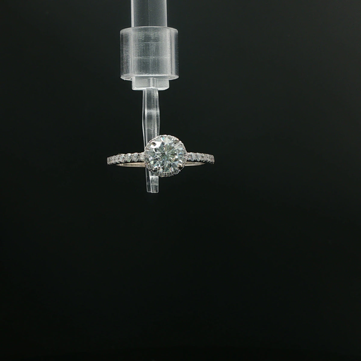 White Gold Round Diamond Halo Ring with Pavé Band