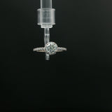 White Gold Round Diamond Halo Ring with Pavé Band