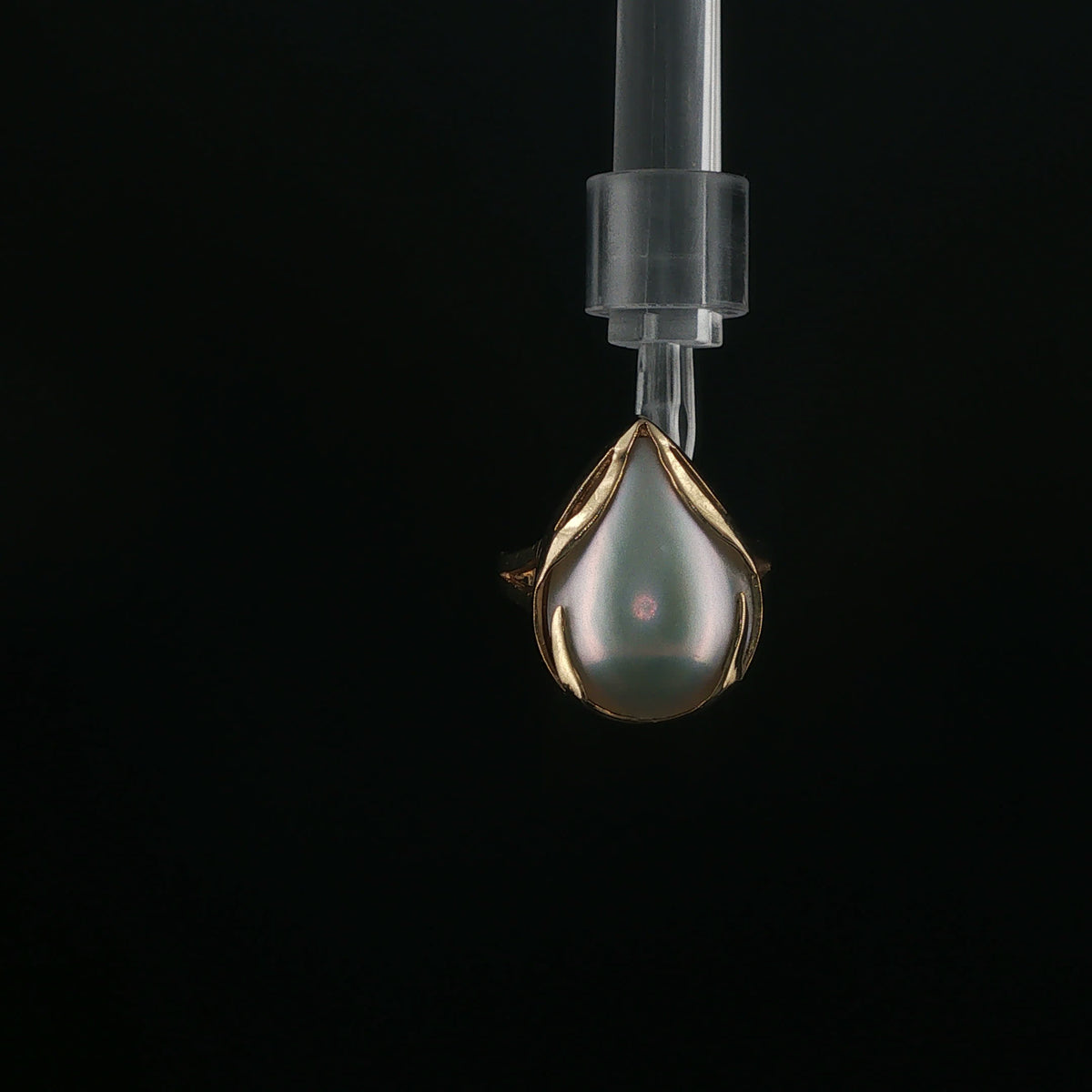Teardrop Pearl Solitaire Ring in Yellow Gold