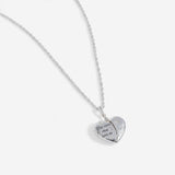 Harry Potter™ 'The Ones That Love Us' Locket Necklace